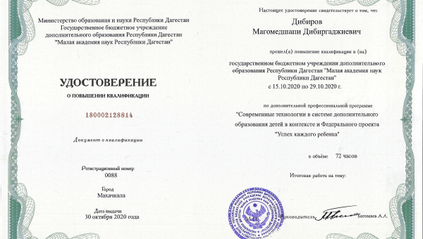 Современные технологии в системе дополнительного образования детей в контексте и Федерального проекта "Успех каждого ребенка"