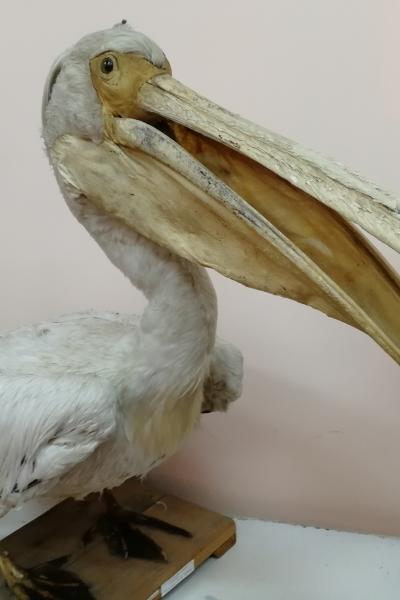 Img 20190303 180931